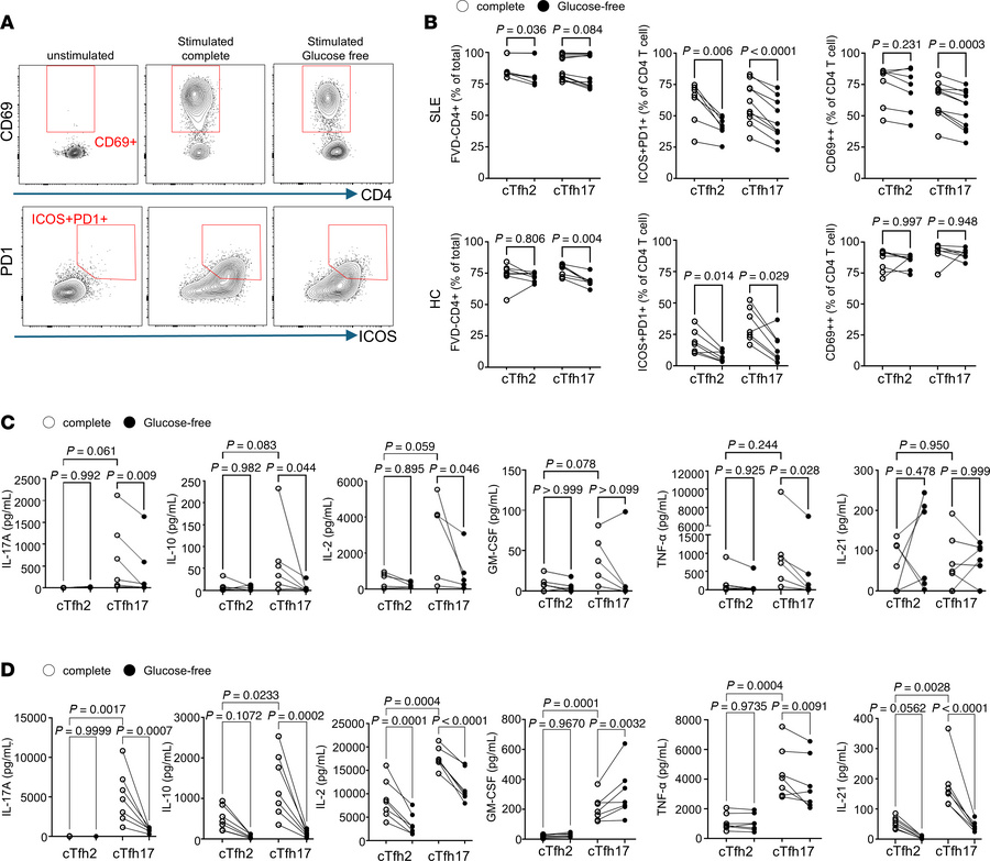 Glucose requirement for optimal activation and cytokine production in cT...