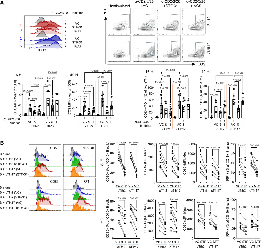 STF-31 pretreatment reduces cTfh17 cell and B cell activation function.
...