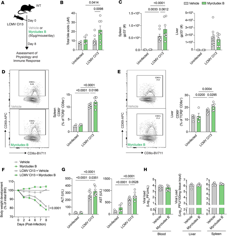 Inhibition of NTCP via systemic Myrcludex B administration increases hep...