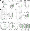 Inhibition of NTCP via systemic Myrcludex B administration increases hepati