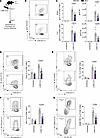Impaired splenic CD8+ T cell response to LCMV Cl13 infection in mice with s