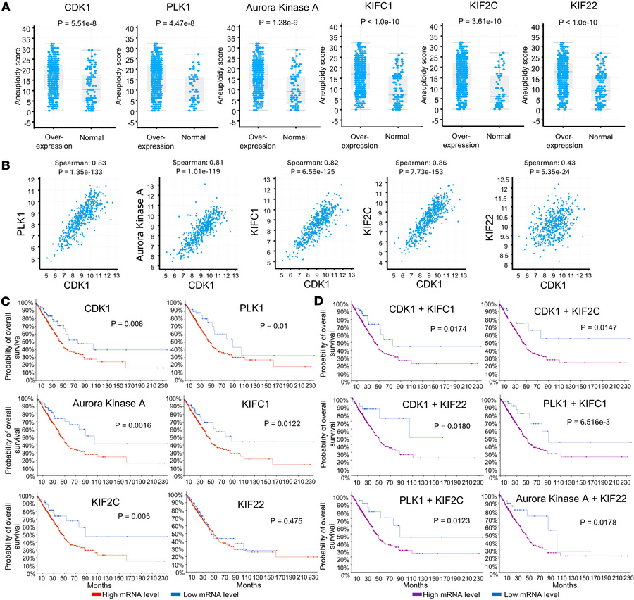 Overall survival of patients with lung cancer.
Overall survival of patie...