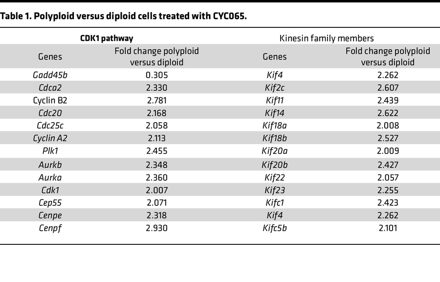 Polyploid versus diploid cells treated with CYC065.