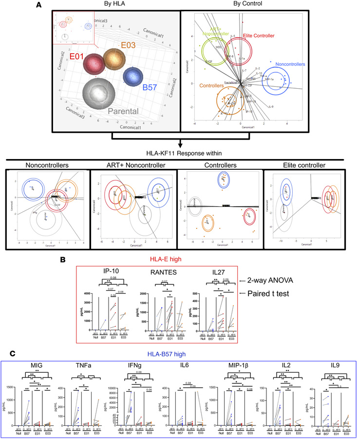 Luminex data show distinct functionality of E- versus B57-CD8s.
(A) Dete...