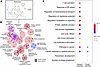 Multiply-restricted CD8s exhibit signatures of higher metabolic activity.