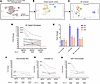 Bioinformatically imputed antigen-specific clonotypes are cross-restricted.