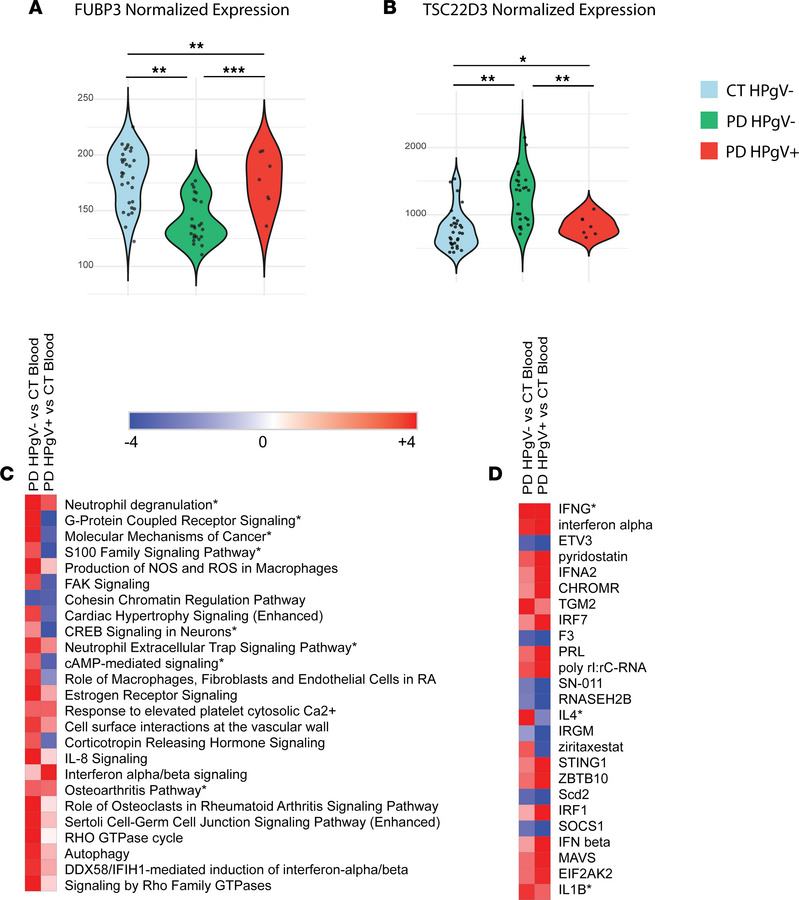 Transcriptomic alterations in HPgV-infected PD whole blood.
(A and B) Vi...