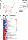 HPgV persistence and transcriptomics associations in whole blood of patient