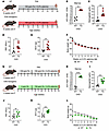ERFE augmentation ameliorates CKD-associated anemia.