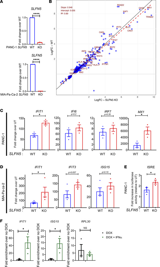 Genetic deletion of human SLFN5 enhances type I IFN transcriptional resp...