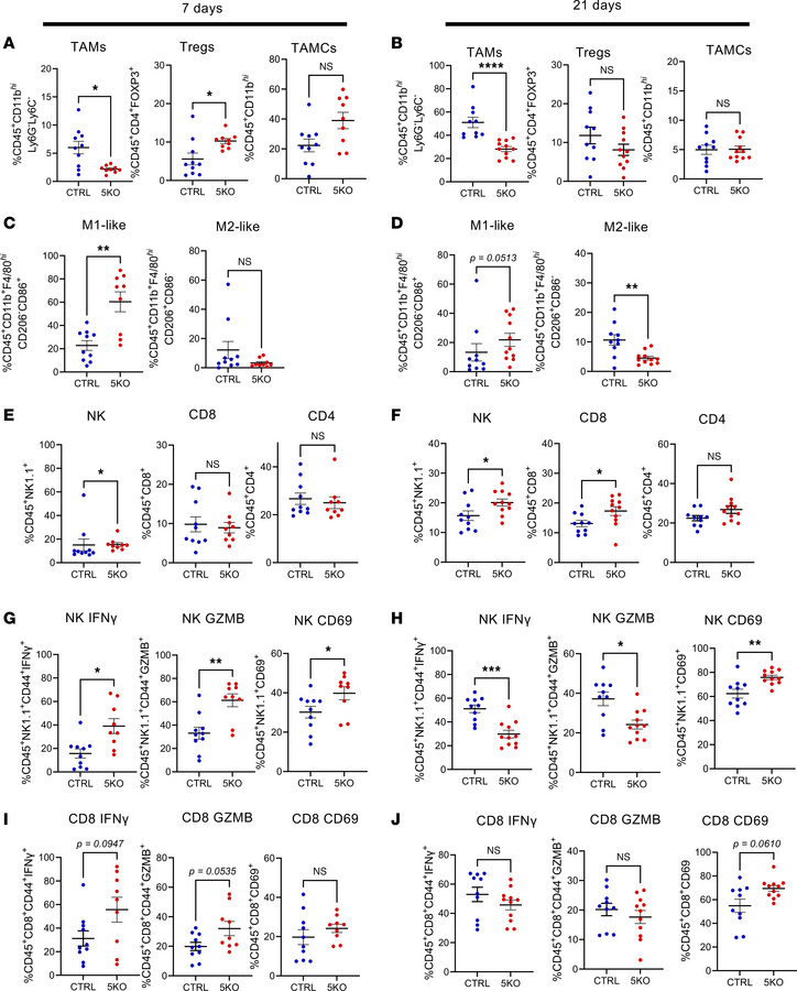 
Slfn5 loss is associated with changes within the immunosuppressive PDAC...