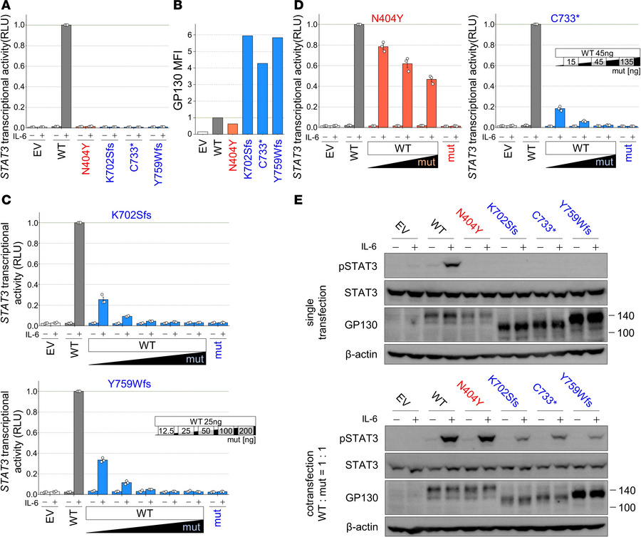 The 2 previously unreported variants were LOF variants and accumulate on...