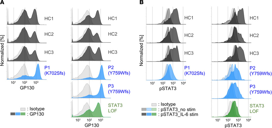 Patient PBMCs show cell-surface GP130 accumulation and impaired phosphor...