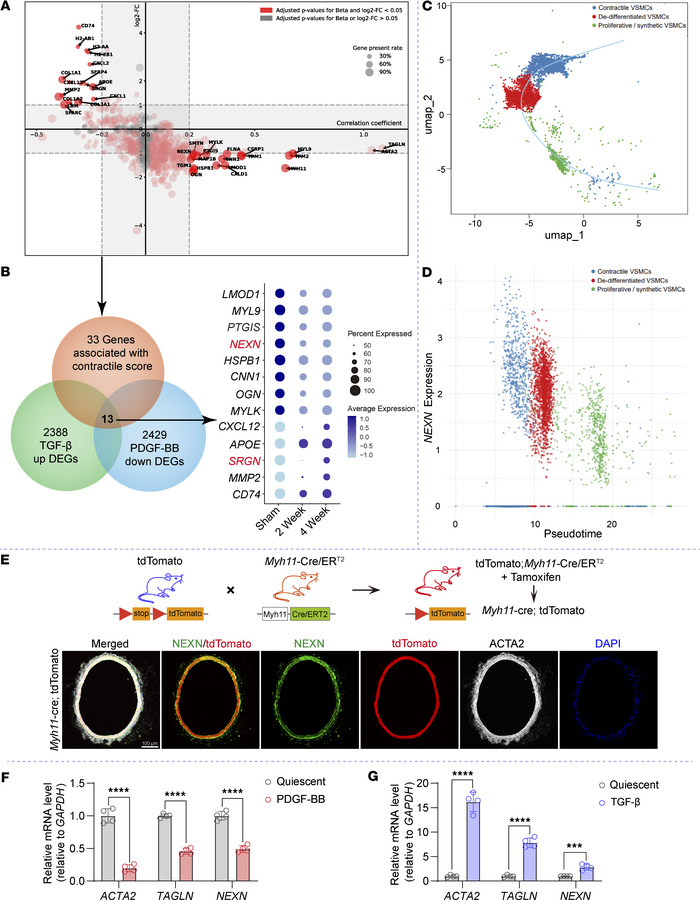 Integrative transcriptomics data analysis predicts candidate proteins as...