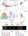 Integrative transcriptomics data analysis predicts candidate proteins assoc