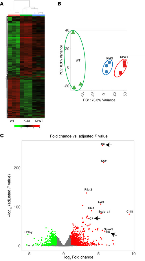 RNA-Seq analysis reveals different gene expression profiles between Rnf2...