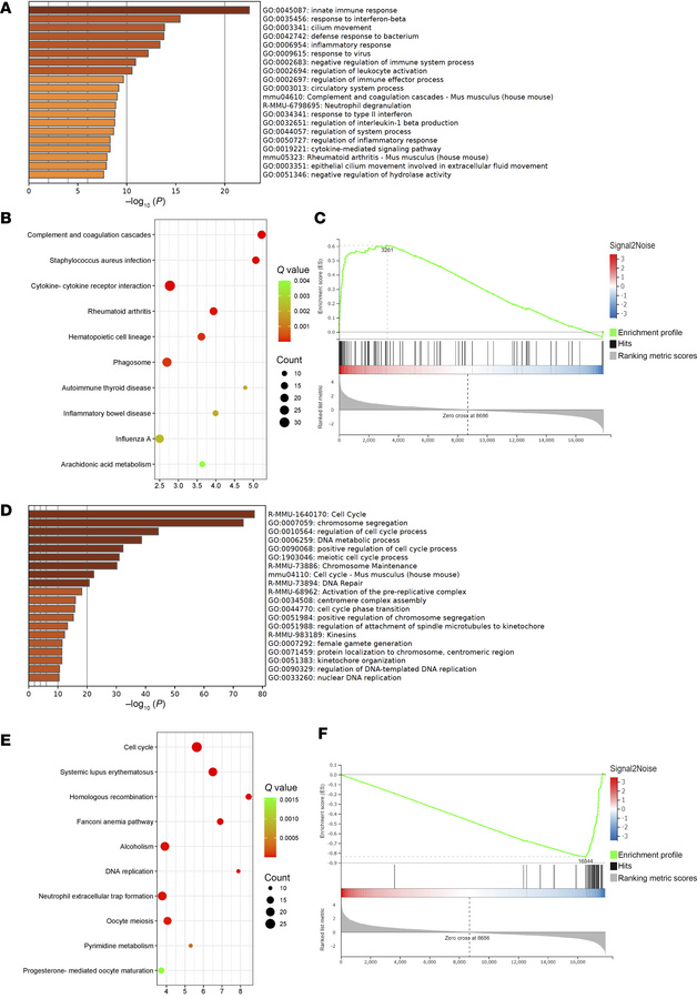 Annotation of DEGs and enrichment analysis.
(A) Metascape analysis of DE...