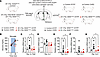 Adrb2 in skeletal muscle cells is required for augmented skeletal muscle Pp
