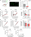OTR knockdown in nodose ganglia affects body weight, food intake, and morta