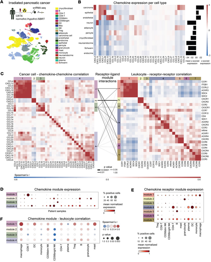 Modular chemokine expression enables redundant leukocyte cancer cell int...