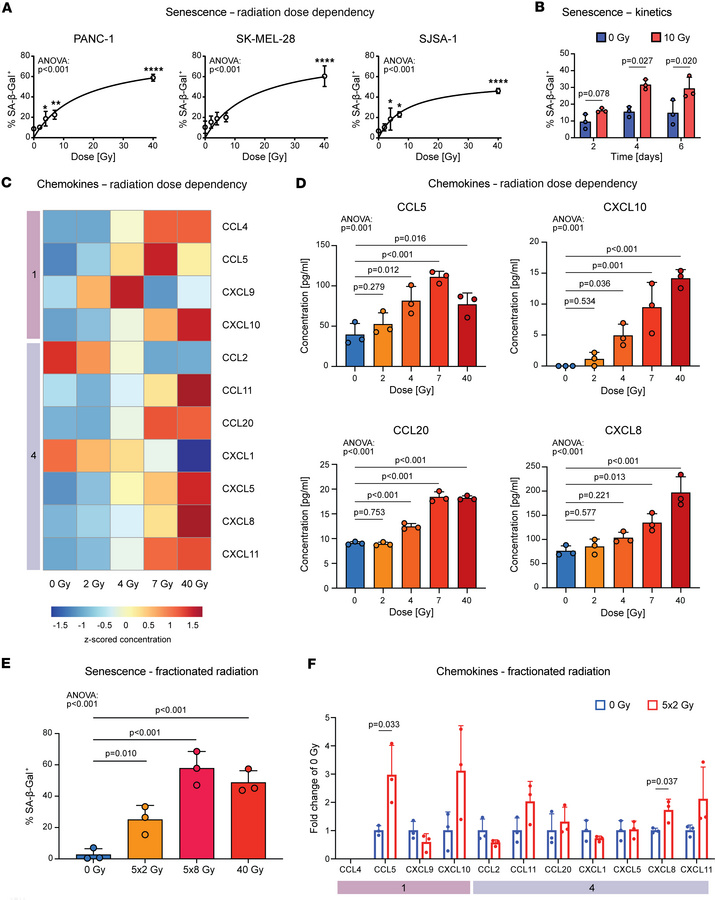 Photon irradiation induces dose-dependent senescence and chemokine relea...