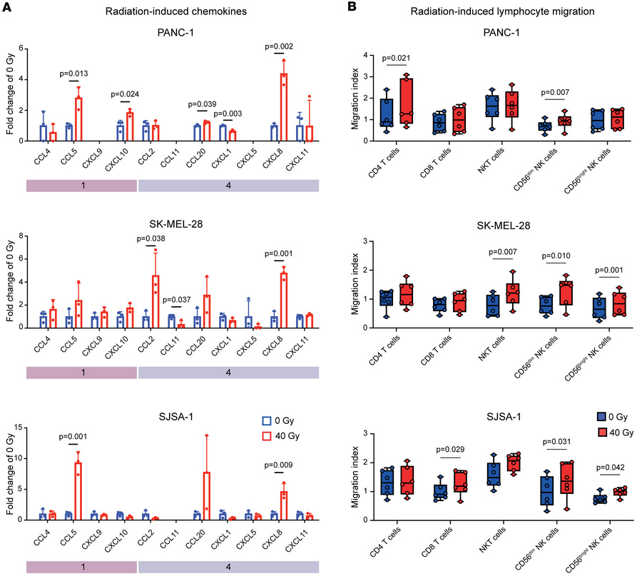 Photon irradiation–induced SASP triggers directional lymphocyte chemotax...