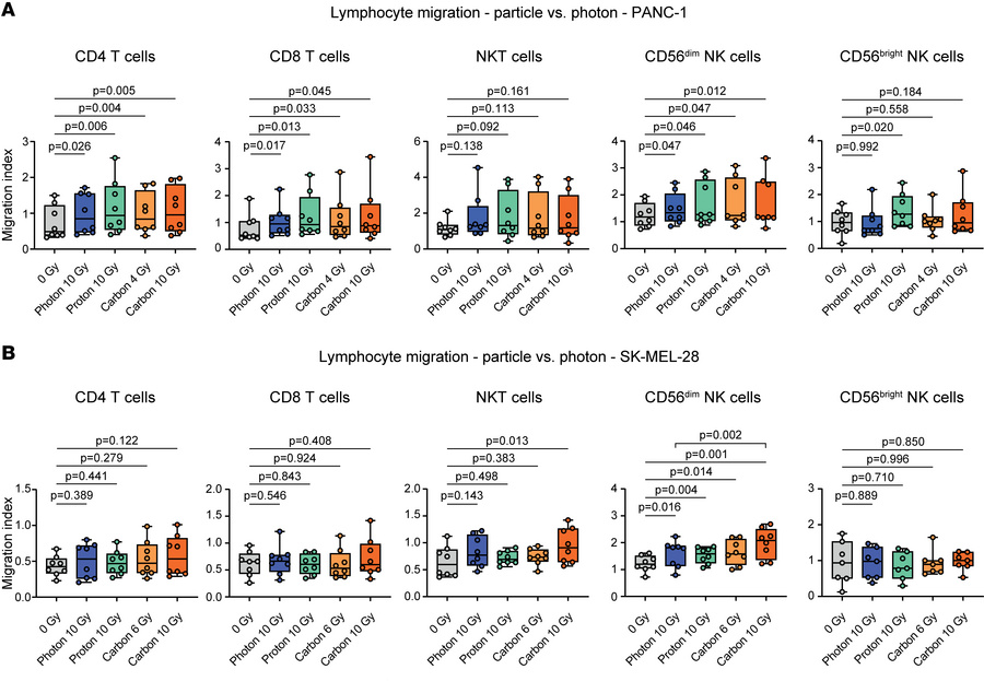 Particle irradiation induces directional lymphocyte migration.
Photon, p...