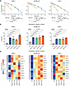Particle irradiation induces cellular senescence and SASP.