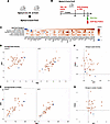 Dynamic FOXC2 and WT1 binding to a set of podocyte genes.