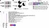 Correlation of FOXC2 binding with gene expression.