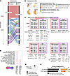 Analysis of FOXC2 and WT1 co-binding.