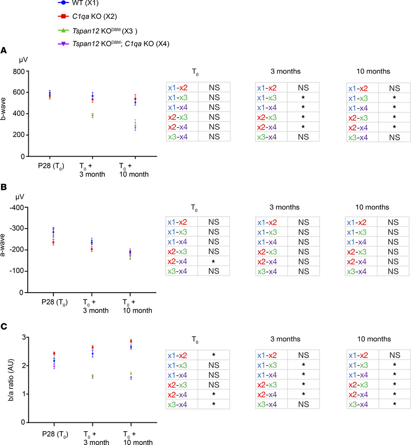 ERG b-wave reduction in mice with BRB maintenance defects.
(A) P28: n = ...