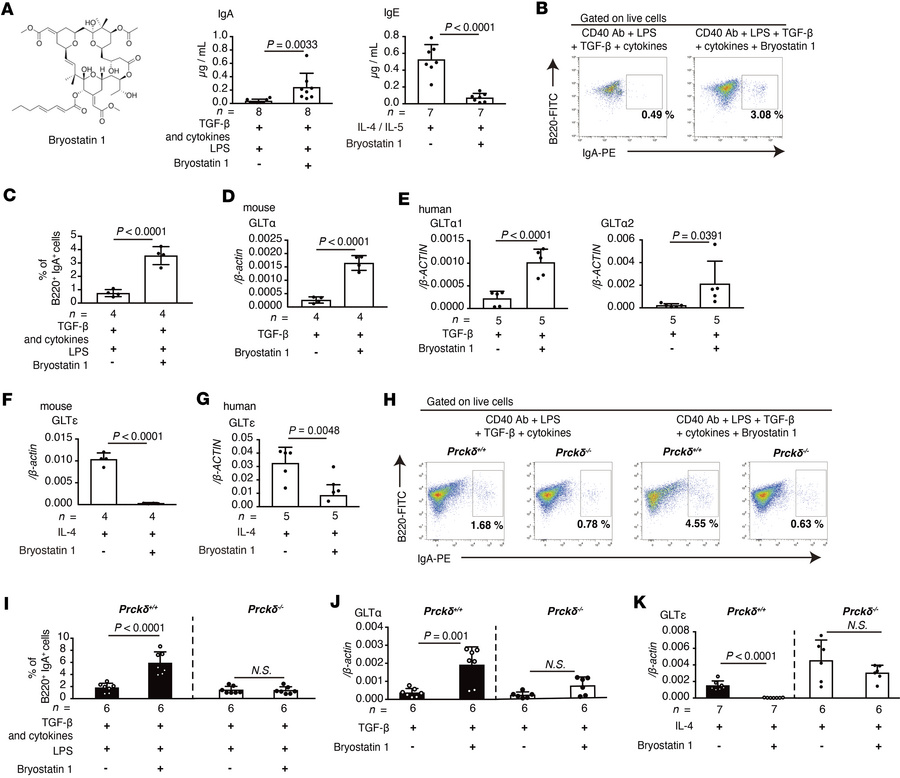 Bryostatin 1 enhances IgA class switching and suppresses IgE class switc...