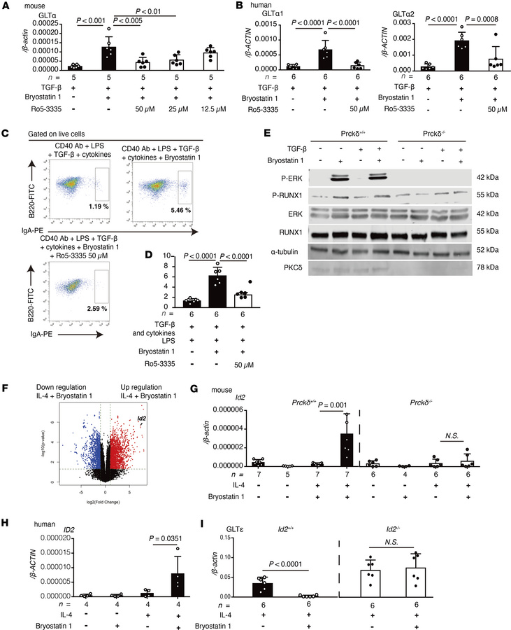 Bryostatin 1 induces GLTα expression through RUNX1 activation and suppre...