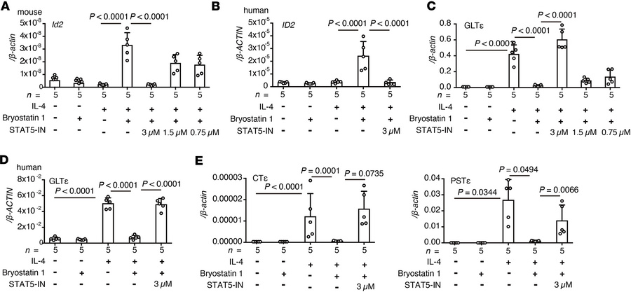 STAT5 is involved in bryostatin 1–mediated suppression of GLTε expressio...