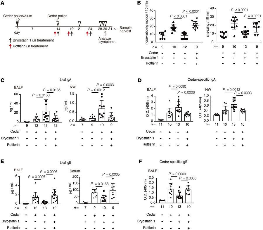 Bryostatin 1 alleviates cedar-pollen-induced hay fever in a PKCδ-depende...