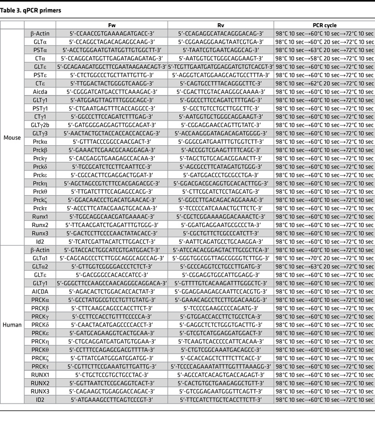 qPCR primers