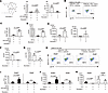 Bryostatin 1 enhances IgA class switching and suppresses IgE class switchin