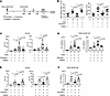 Bryostatin 1 alleviates cedar-pollen-induced hay fever in a PKCδ-dependent