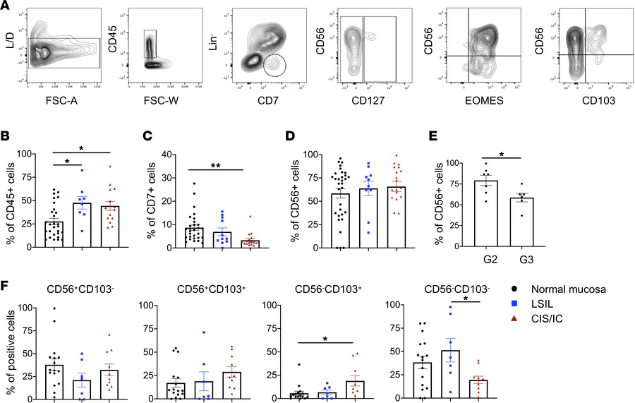 Analysis of innate immune cells infiltrating LSIL, HSIL/CIS, and IC.
Fre...