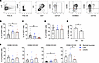 Analysis of innate immune cells infiltrating LSIL, HSIL/CIS, and IC.