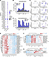 snRNA-seq shows upregulation of noncoding RNAs in the KDM1A-KO organoids.