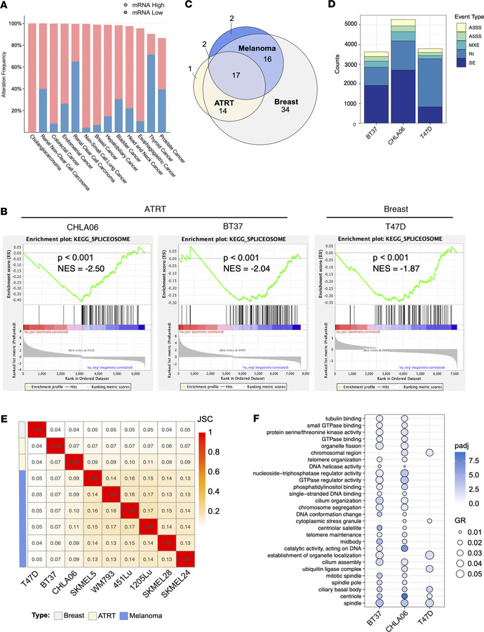 Corin affects RNA splicing across cancers.
(A) Histogram depicting the f...