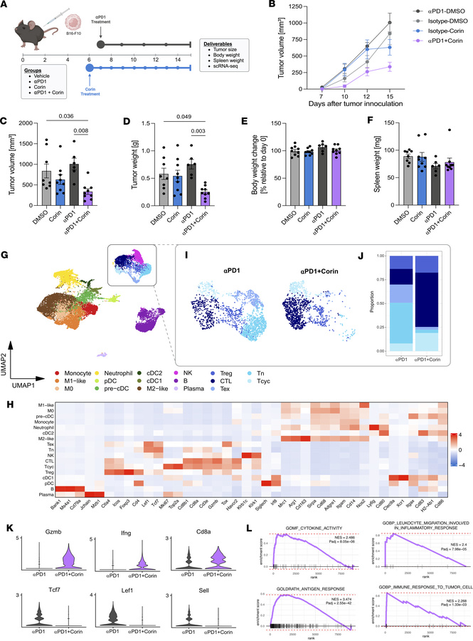 Corin sensitizes immune cold tumors to immunotherapy and promotes expans...