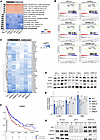 CoREST transcriptionally regulates splicing factor gene expression.