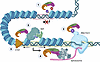 Proposed model for multilayered CoREST complex functions in epigenetic regu