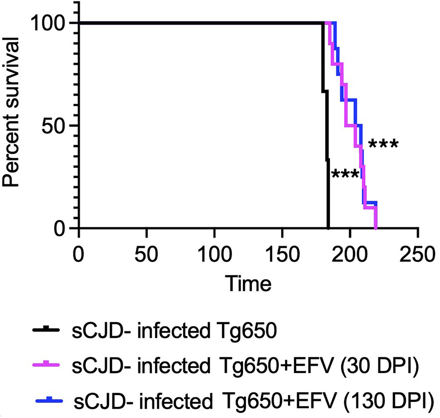 EFV oral administration significantly prolongs survival of sCJD-infected...