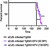 EFV oral administration significantly prolongs survival of sCJD-infected tg