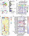 FXa-PAR2 signaling modulates macrophage phenotypes in the TME.