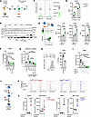 Myeloid cell–derived FXa recruits immune suppressive platelets.